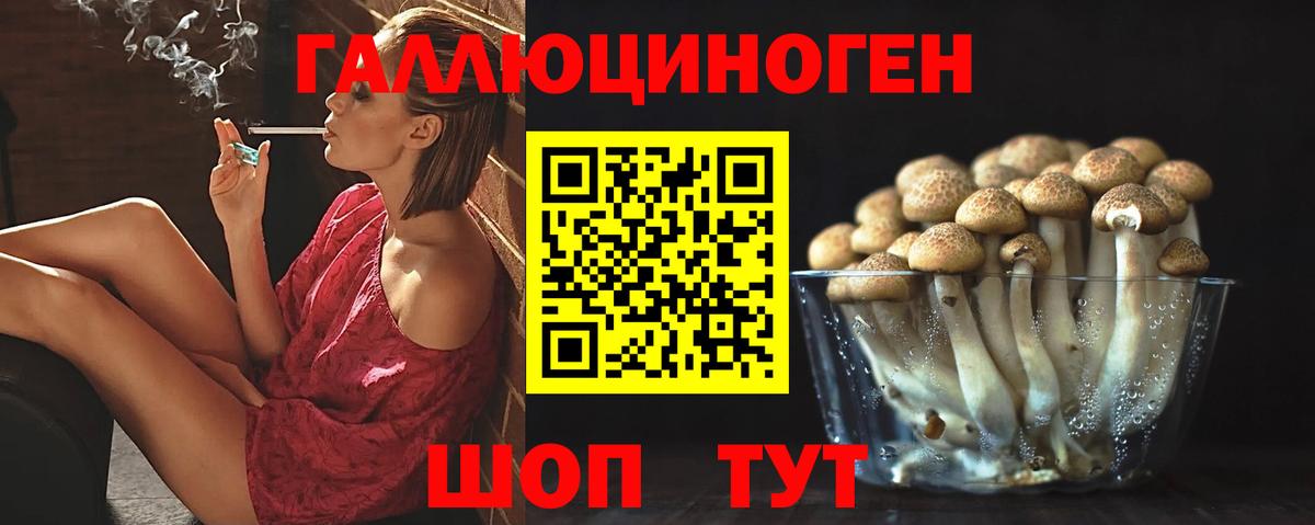 Амурск  Псилоцибиновые грибы GOLDEN TEACHER  Вход с VPN  Псилоцибиновые грибы Psilocybe 